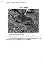 E-book 'Тайный остров', 509.