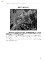 E-book 'Тайный остров', 511.