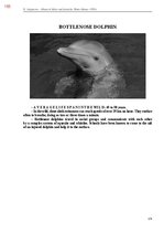 E-book 'Тайный остров', 513.