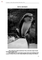 E-book 'Тайный остров', 514.