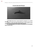 E-book 'Тайный остров', 517.