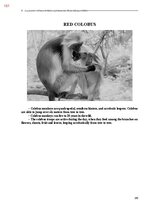 E-book 'Тайный остров', 519.