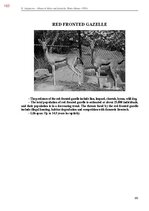 E-book 'Тайный остров', 521.