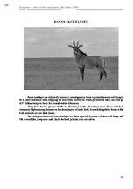 E-book 'Тайный остров', 522.