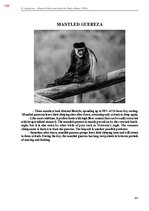 E-book 'Тайный остров', 526.