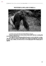 E-book 'Тайный остров', 529.