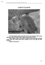 E-book 'Тайный остров', 531.