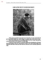 E-book 'Тайный остров', 532.