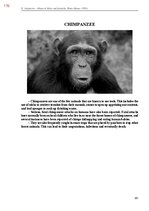 E-book 'Тайный остров', 534.