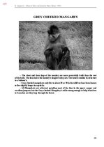 E-book 'Тайный остров', 535.