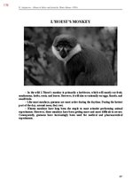 E-book 'Тайный остров', 536.