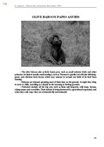 E-book 'Тайный остров', 537.