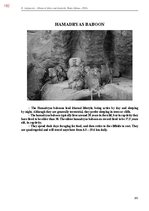 E-book 'Тайный остров', 540.