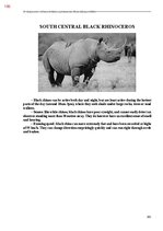 E-book 'Тайный остров', 544.