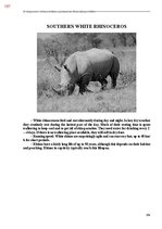 E-book 'Тайный остров', 545.