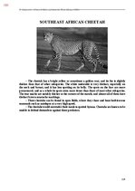 E-book 'Тайный остров', 549.