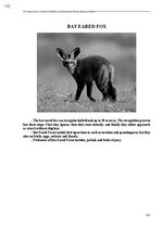 E-book 'Тайный остров', 550.