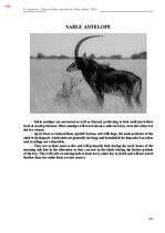 E-book 'Тайный остров', 551.