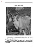 E-book 'Тайный остров', 552.