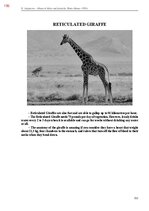 E-book 'Тайный остров', 554.