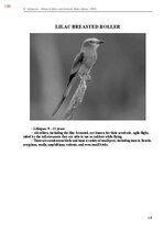 E-book 'Тайный остров', 557.