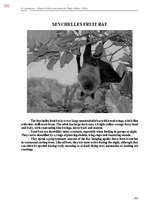 E-book 'Тайный остров', 560.
