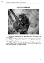 E-book 'Тайный остров', 561.
