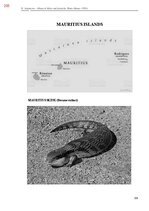 E-book 'Тайный остров', 563.