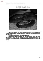 E-book 'Тайный остров', 565.
