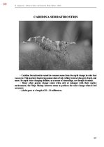 E-book 'Тайный остров', 566.