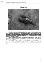 E-book 'Тайный остров', 567.