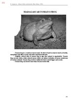 E-book 'Тайный остров', 570.