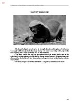 E-book 'Тайный остров', 579.
