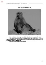 E-book 'Тайный остров', 580.