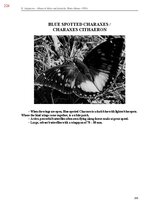 E-book 'Тайный остров', 582.