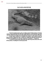 E-book 'Тайный остров', 584.