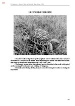 E-book 'Тайный остров', 587.