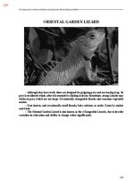 E-book 'Тайный остров', 589.