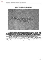 E-book 'Тайный остров', 590.