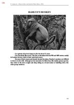 E-book 'Тайный остров', 594.