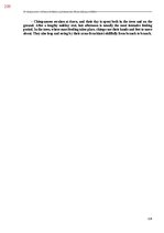 E-book 'Тайный остров', 597.