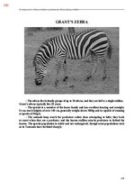 E-book 'Тайный остров', 598.