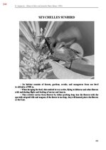 E-book 'Тайный остров', 602.