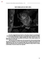 E-book 'Тайный остров', 603.