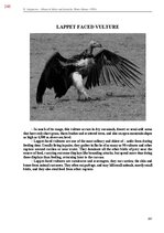 E-book 'Тайный остров', 606.
