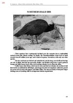 E-book 'Тайный остров', 607.