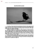 E-book 'Тайный остров', 608.