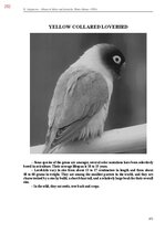 E-book 'Тайный остров', 610.