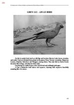 E-book 'Тайный остров', 611.