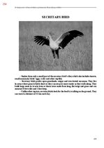 E-book 'Тайный остров', 612.